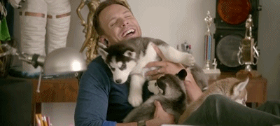The Owner Who Has the Same Breed of Dog as You Do