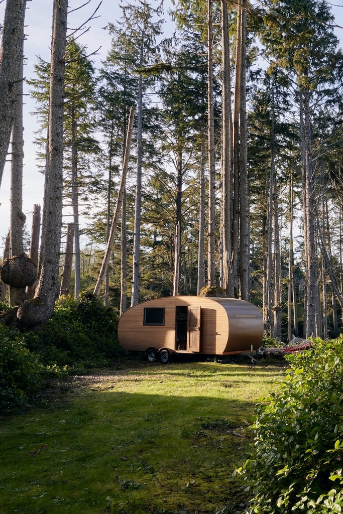 Silent Forest (Seattle, WA)
