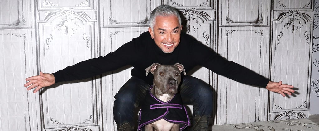 Cesar Millan's Favorite Movie Pets