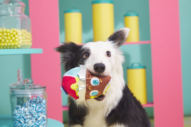 Best Treats and Toys For Dogs