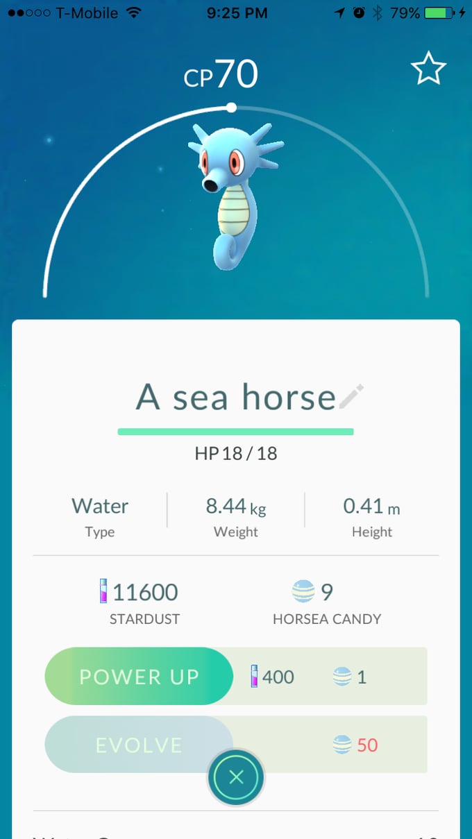 Horsea aka "A sea horse"