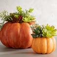 32 Fall Decor Items That Will Make Your Home Feel Cozy and Festive