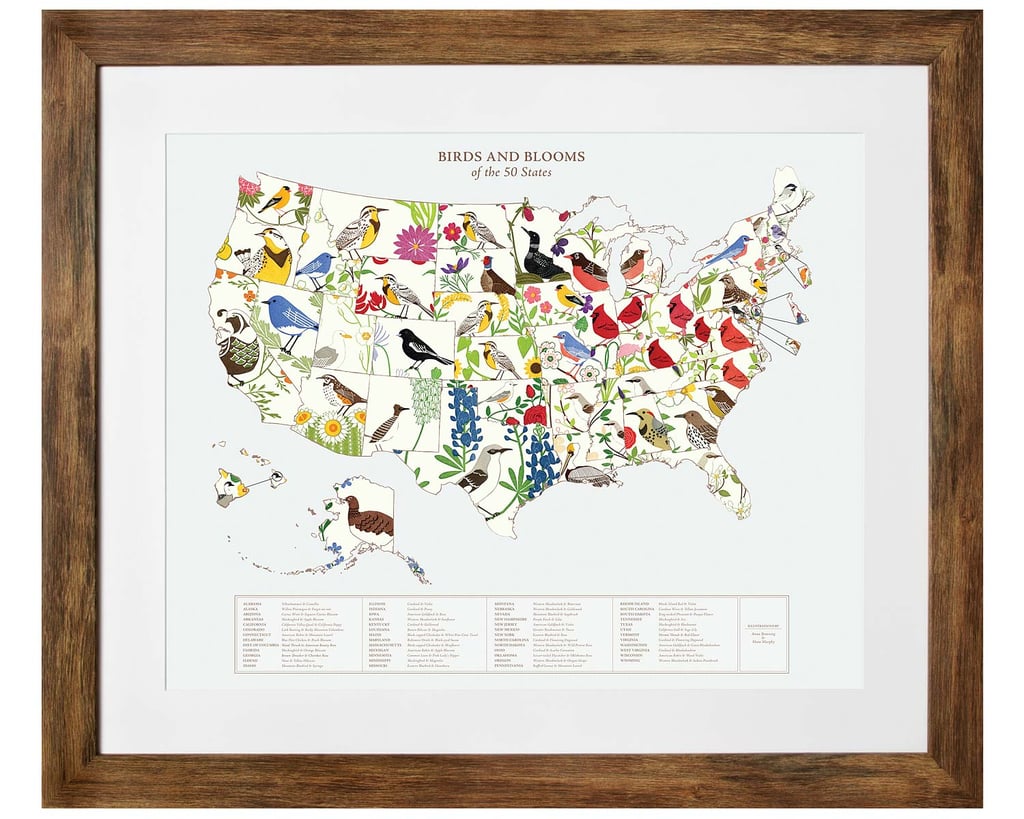 A New Take on an Old Map