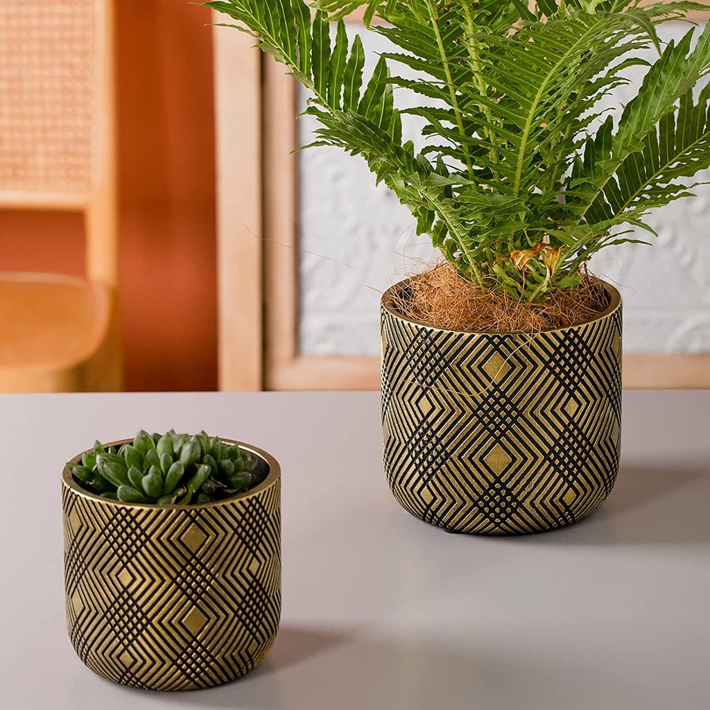 A Gold Moment: Vintage Golden Painted Cement Planter with Rhombus Embossed Pattern