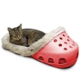 Your Pet Can Officially Snooze in a Giant Croc Shoe, and Talk About a Conversation Starter