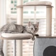 14 Cozy, Modern Cat Trees That Will Elevate Your Space