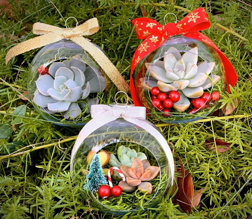 Shop Etsy's Plant Terrarium Christmas Ornaments