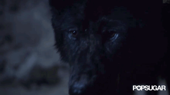 And Then You're Like, "Wait, I Know Those Eyes. I KNOW THEM."