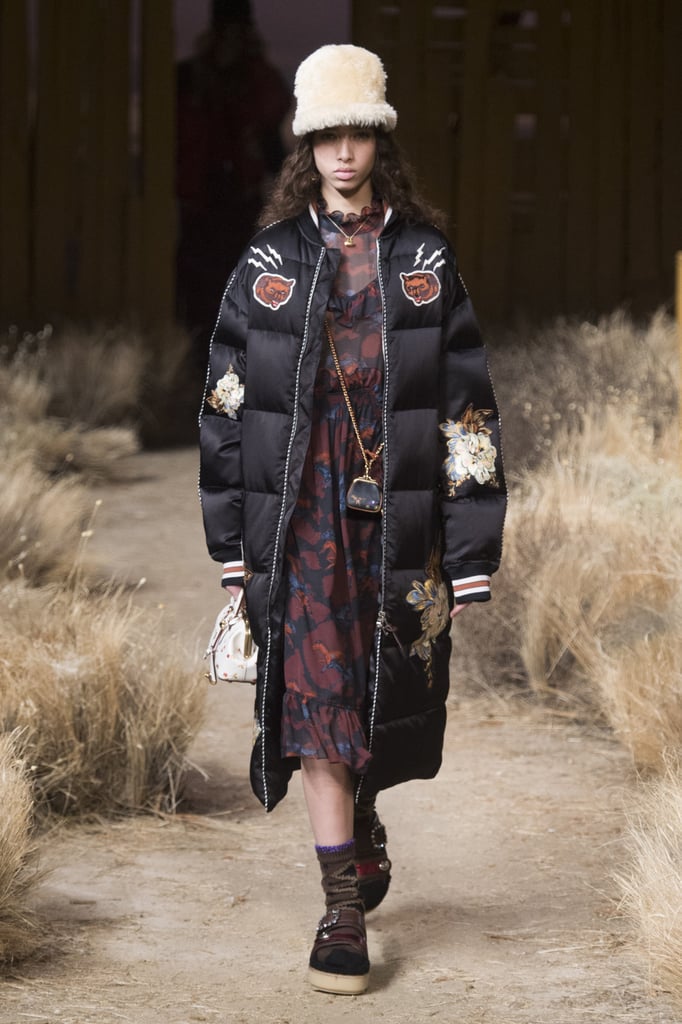 Coach Fall 2017 Runway POPSUGAR Fashion Photo 36