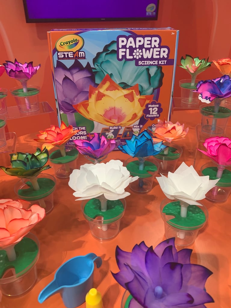 Crayola STEAM - Paper Flower Science Kit