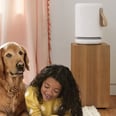 This Top-Rated Air Purifier Helped Me Breathe Better at Night