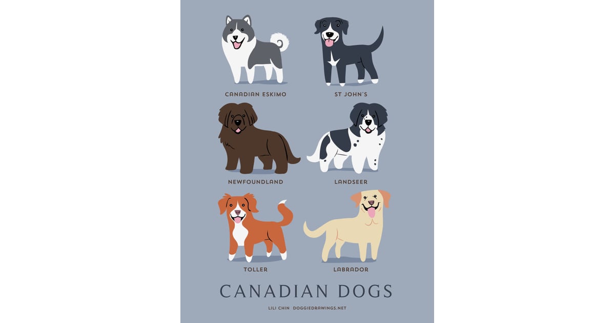 Canadian dogs | Dogs of the World Art Prints | POPSUGAR Pets Photo 10
