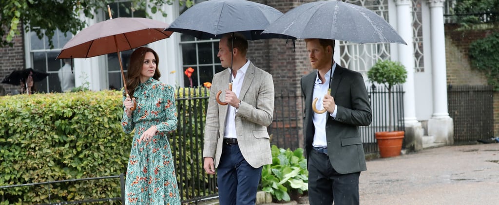 William and Harry at Princess Diana Garden Kensington Palace