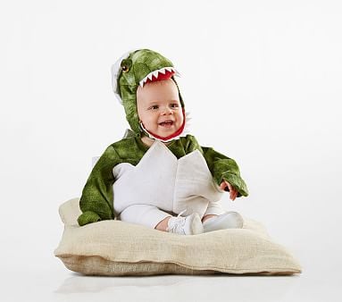 Hatching Dinosaur Costume