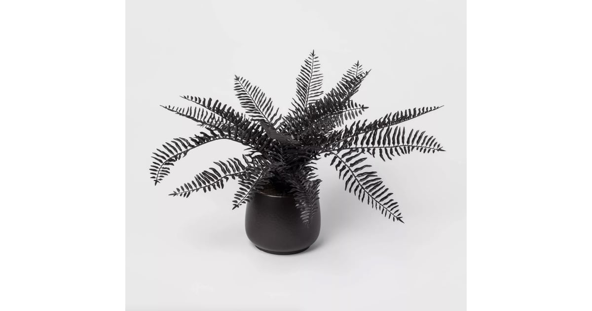 Shop Target's 28" x 16" Artificial Black Fern Arrangement in Ceramic