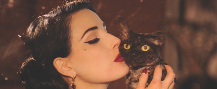 A Letter to My Cat