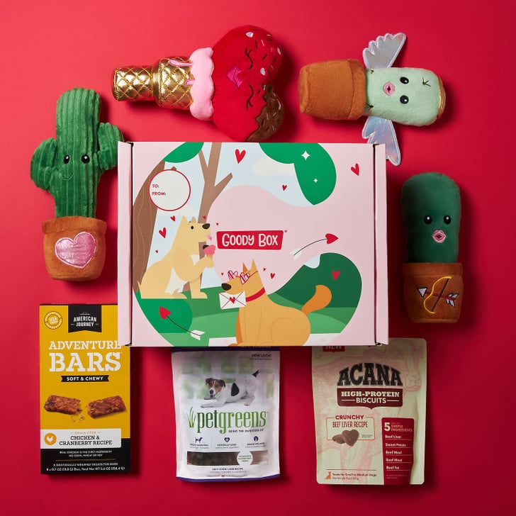 A Gift Box For Dogs: Goody Box Valentine's Dog Toys & Treats | Best
