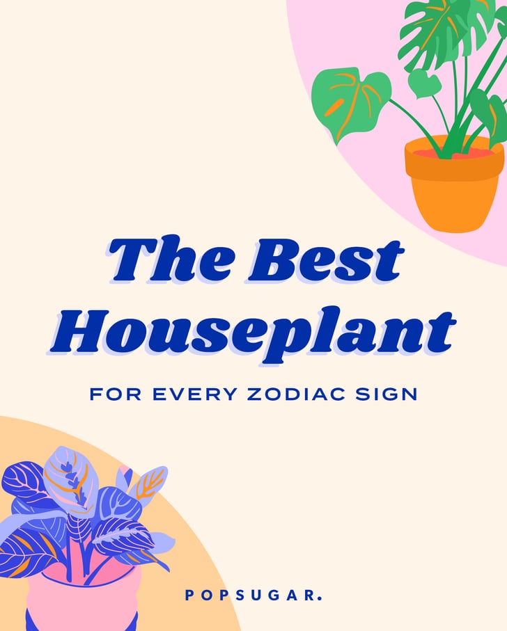 The Best Houseplant For Every Zodiac Sign