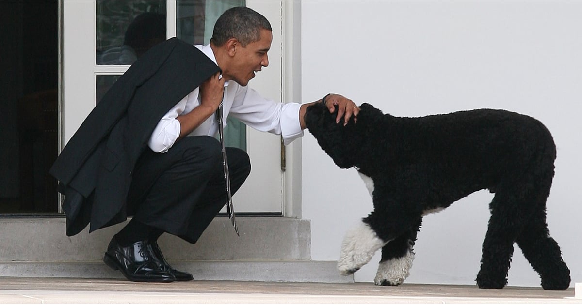 Pictures Of Bo And Sunny Obama With The Family Popsugar