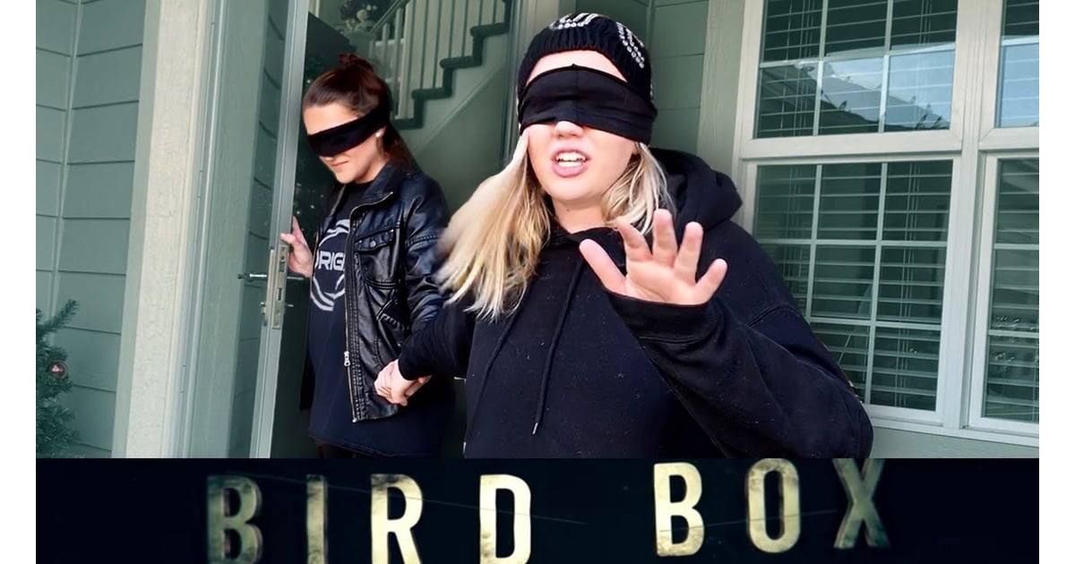 24 Hour Bird Box Challenge What Is the Bird Box Challenge? POPSUGAR