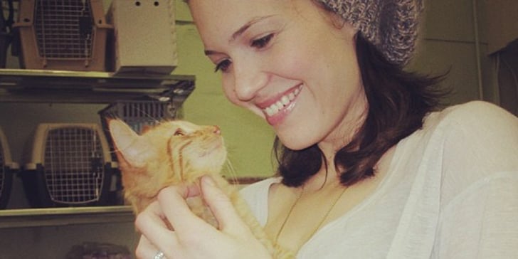 Mandy Moore's Cats | POPSUGAR Pets