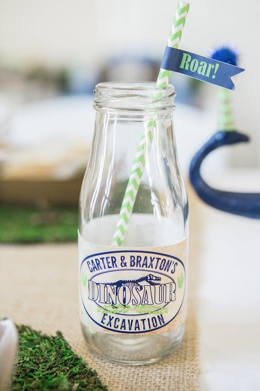 Dinosaur Kids' Birthday Party Ideas