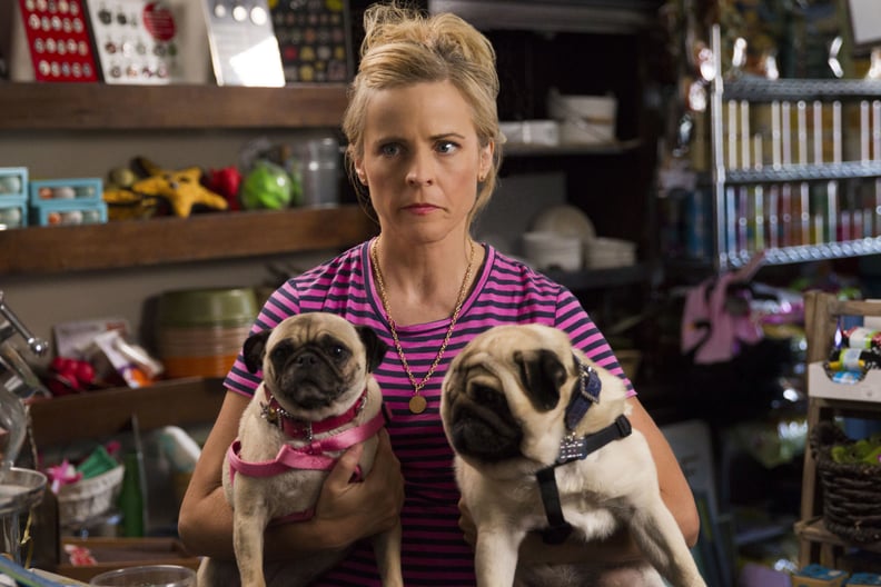 Lady Dynamite Review  POPSUGAR Entertainment