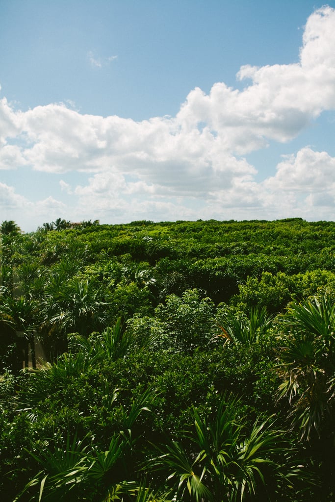 Tulum Mexico Beach Wedding
