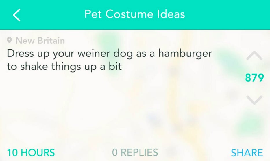 Yik Yak Users' Pet Costume Ideas For Halloween