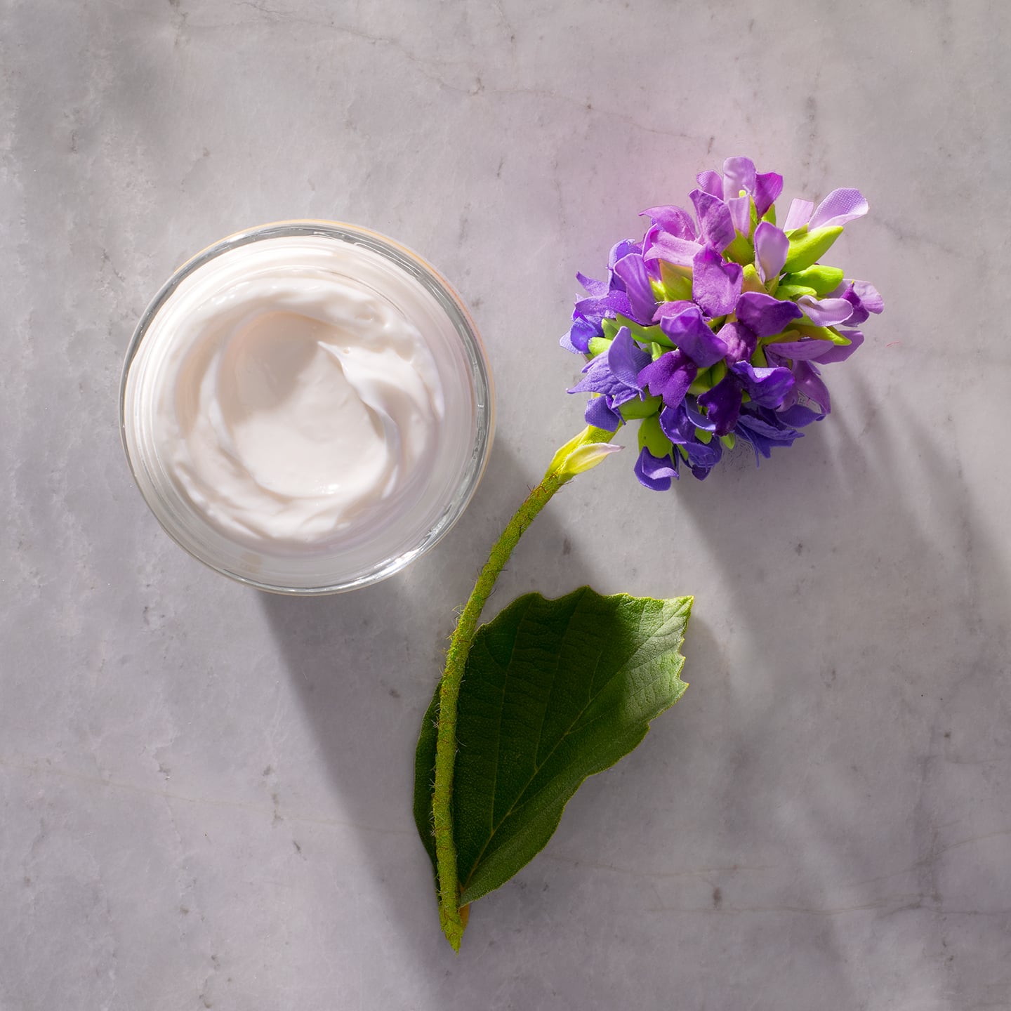 Burt's Bees Bakuchiol Benefits For Skin | POPSUGAR Beauty