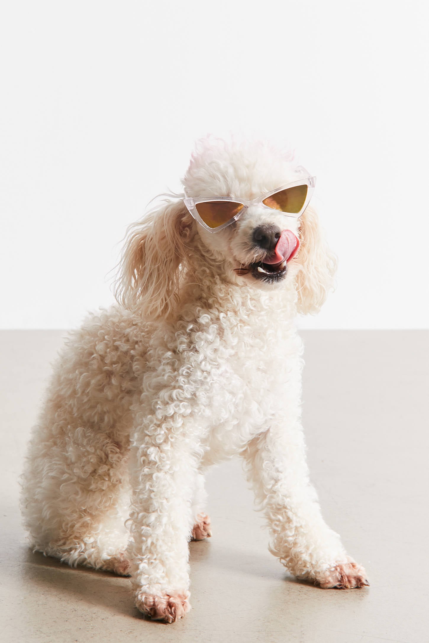 Best Sunglasses For Dogs 2020 Popsugar Pets