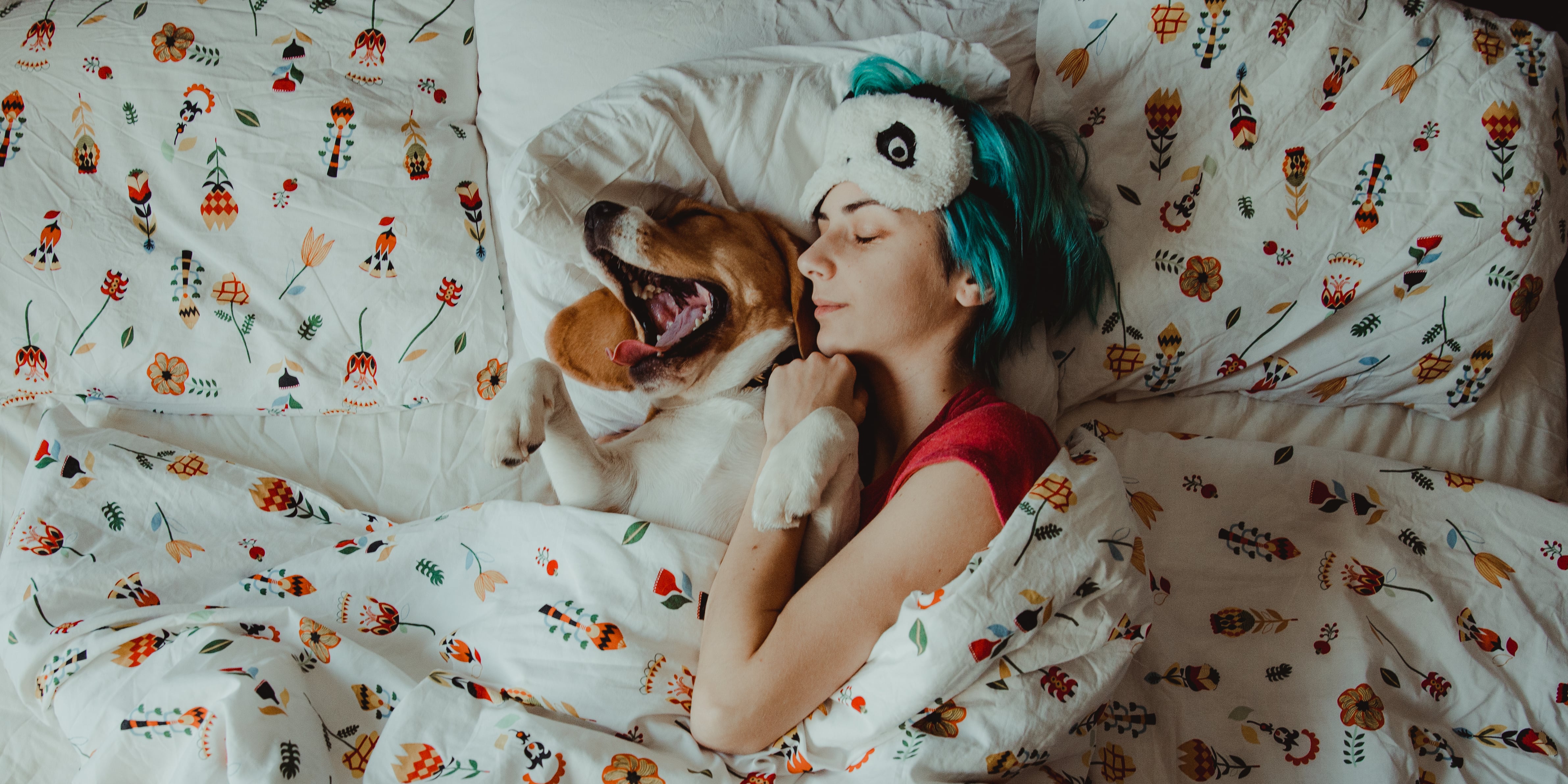 Should I Let My Dog Sleep in My Bed? POPSUGAR Pets