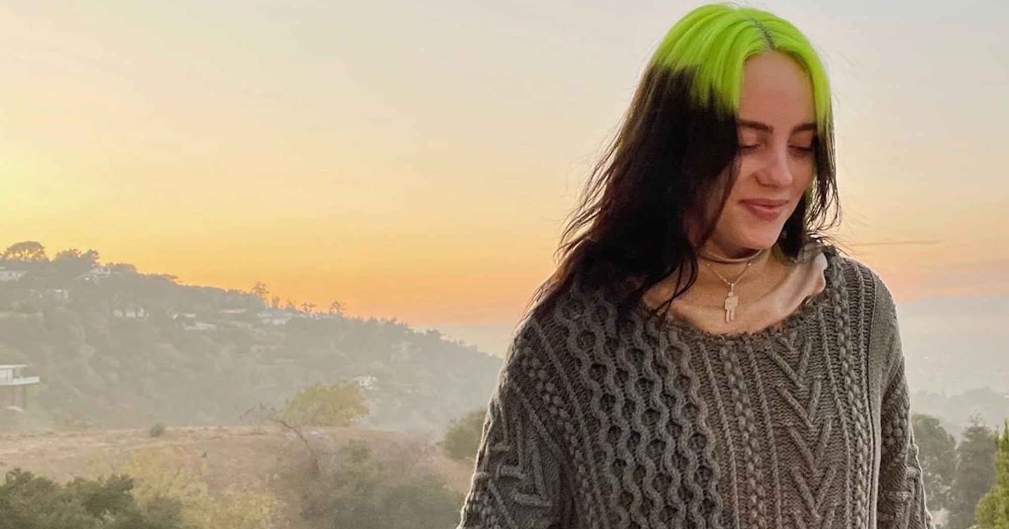 Billie eilish 2025 green sweater