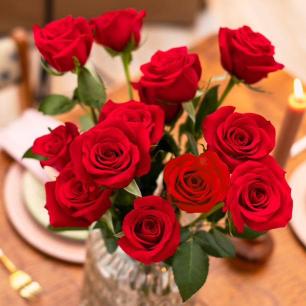 Fresh Flowers: Valentine's Day Dozen Roses