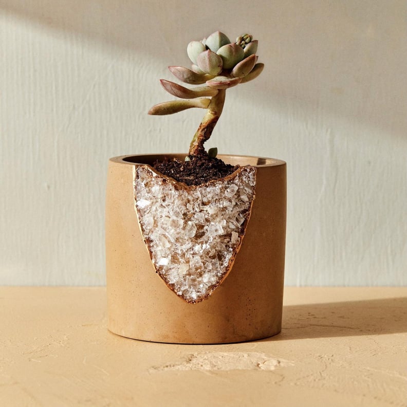 House of Harlow 1960 Creator Collab  Geode Planter