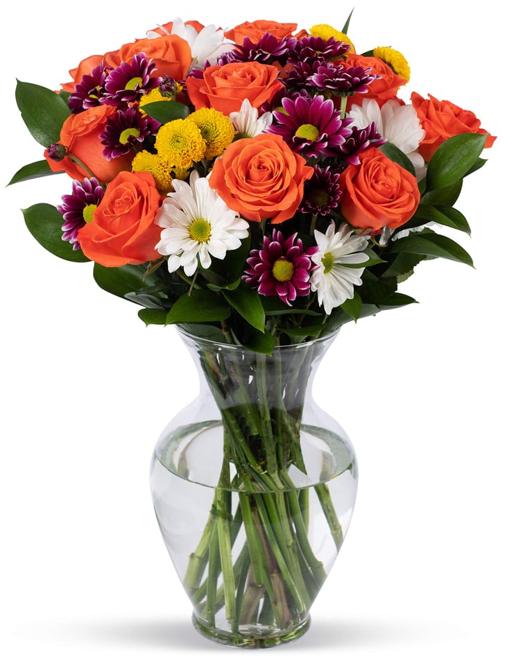 Benchmark Bouquets Big Blooms With Vase Dozen Roses on Amazon
