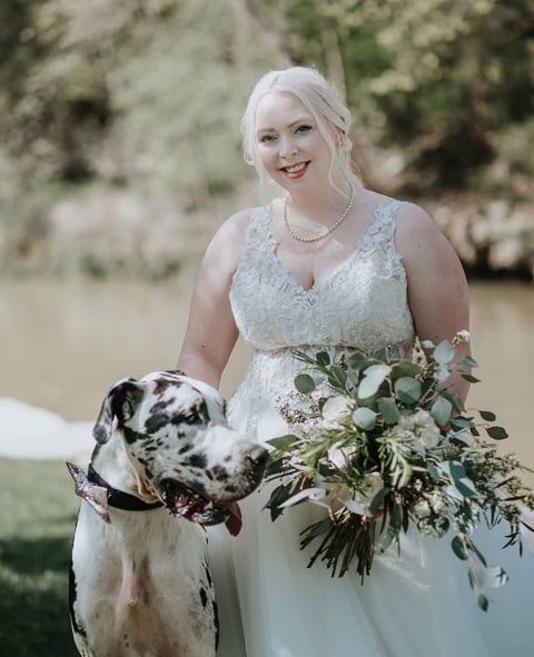 A stylish bow tie makes even the biggest pooch look dapper.