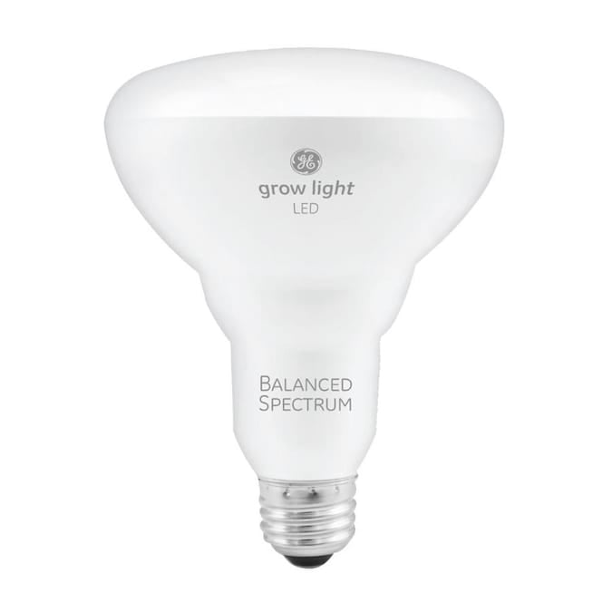GE LED Glow Light Bulb