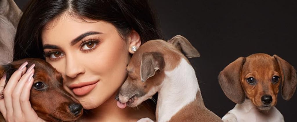 Kylie Jenner's Dogs on Instagram