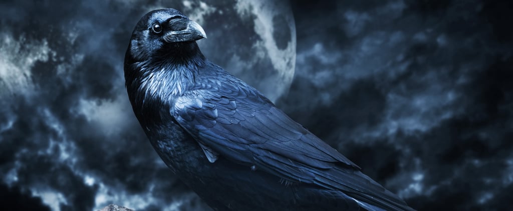 Scary Story Apps