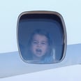 Afraid of Flying? Let George and Charlotte Peeking Out of Their Plane Window Calm You