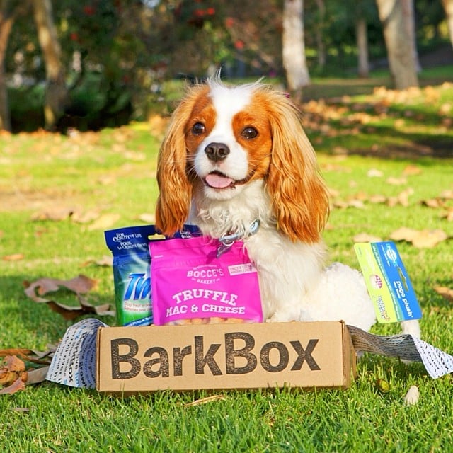 Get a Free Month of BarkBox