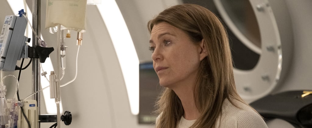 Grey's Anatomy Season 16 Details