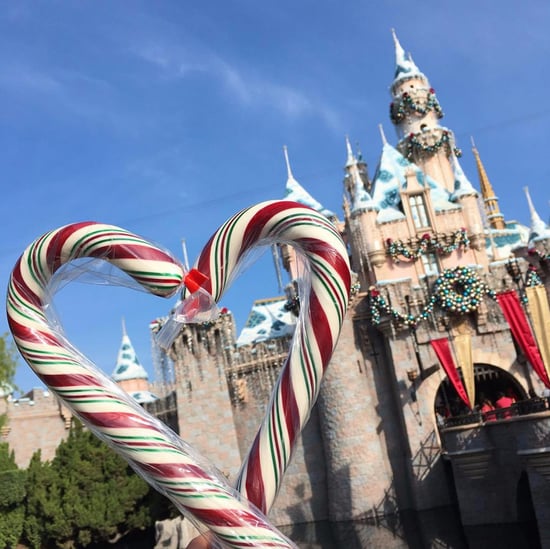 When Will Disneyland Have Candy Canes This Year?
