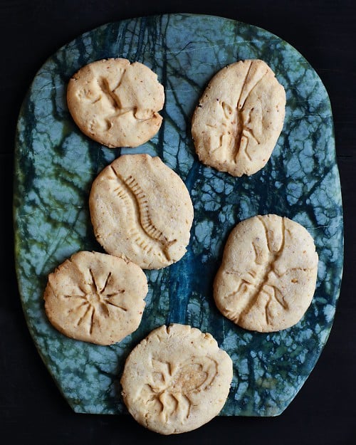 Fossil Cookies