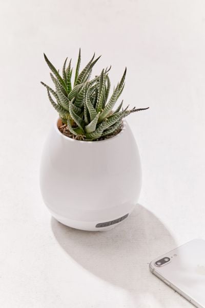 Faux Plant Bluetooth Speaker