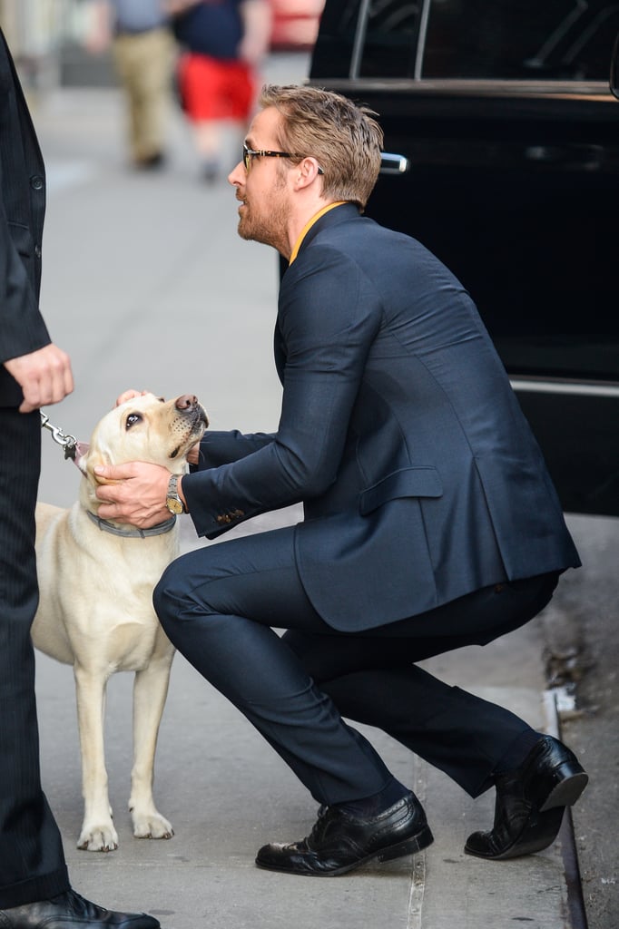 Ryan Gosling Petting Dog in NYC May 2016