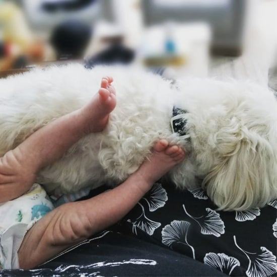 Danielle Fishel's Post About Having a Newborn