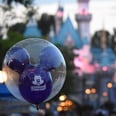 A Former Disneyland Security Employee Reveals What It's Like Working at the Park