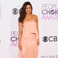 Priyanka Chopra's People's Choice Awards Look Isn't a Dress — It's an Optical Illusion